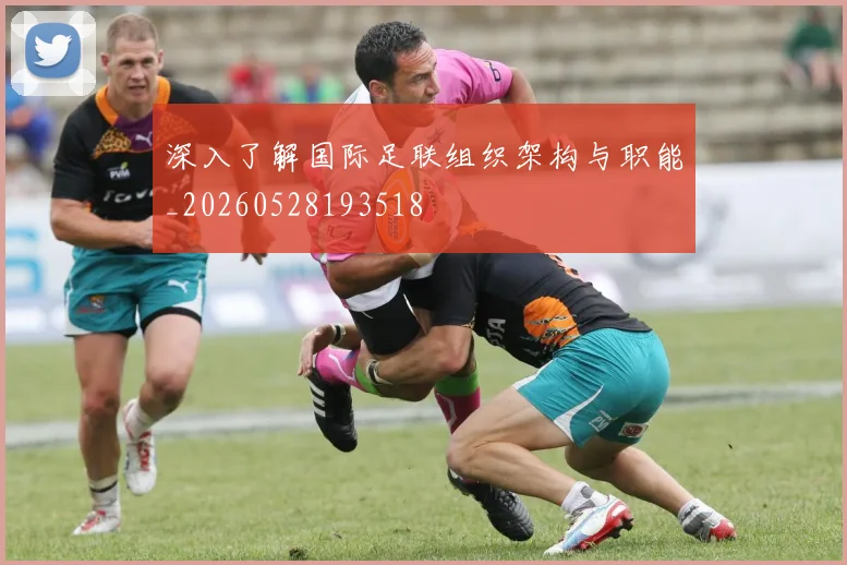 深入了解国际足联组织架构与职能_20260528193518