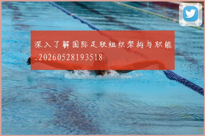 深入了解国际足联组织架构与职能_20260528193518